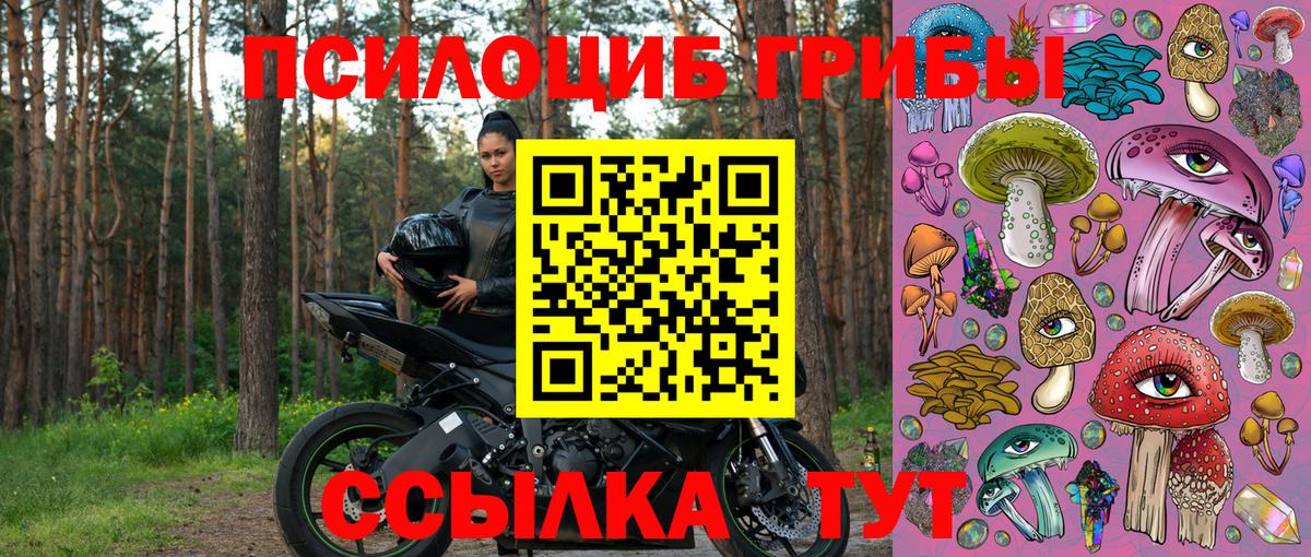Абакан  Псилоцибиновые грибы MAGIC MUSHROOMS  цена   Вход с VPN 